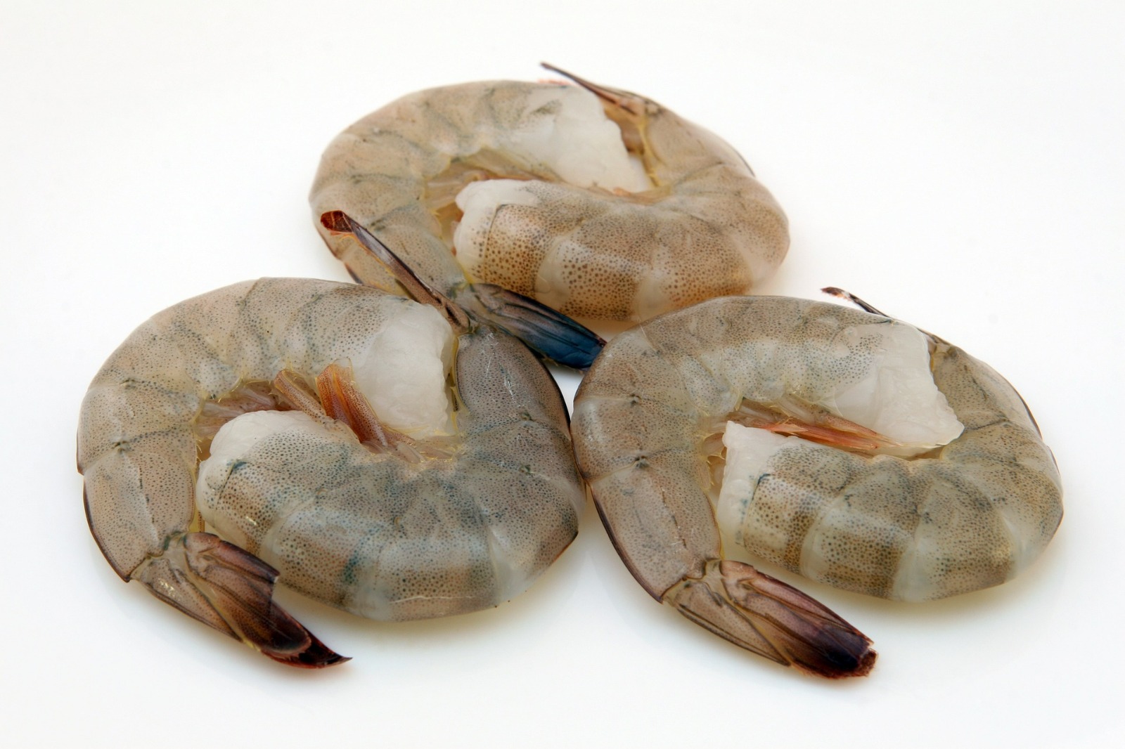 Cola de langostino Navafish