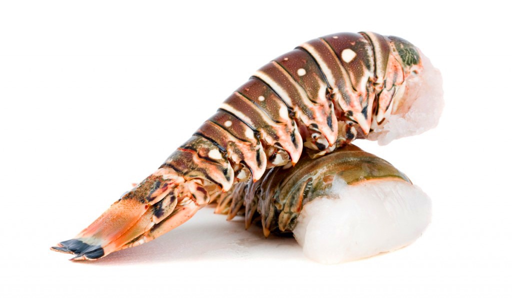 Salmón entero Navafish