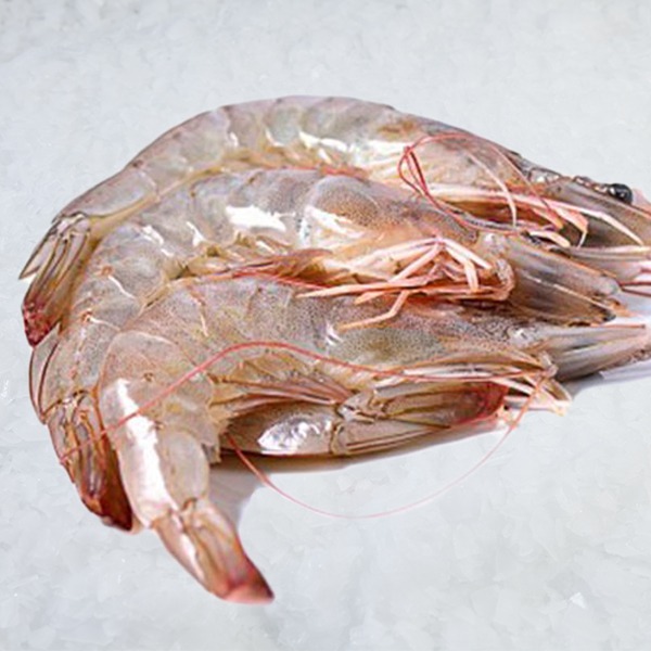 Langostino congelado Navafish