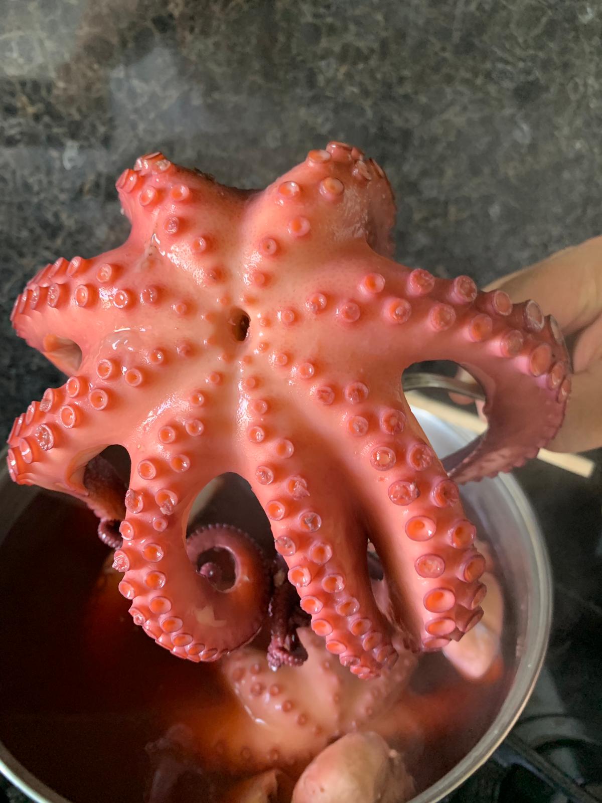Pulpo congelado Navafish
